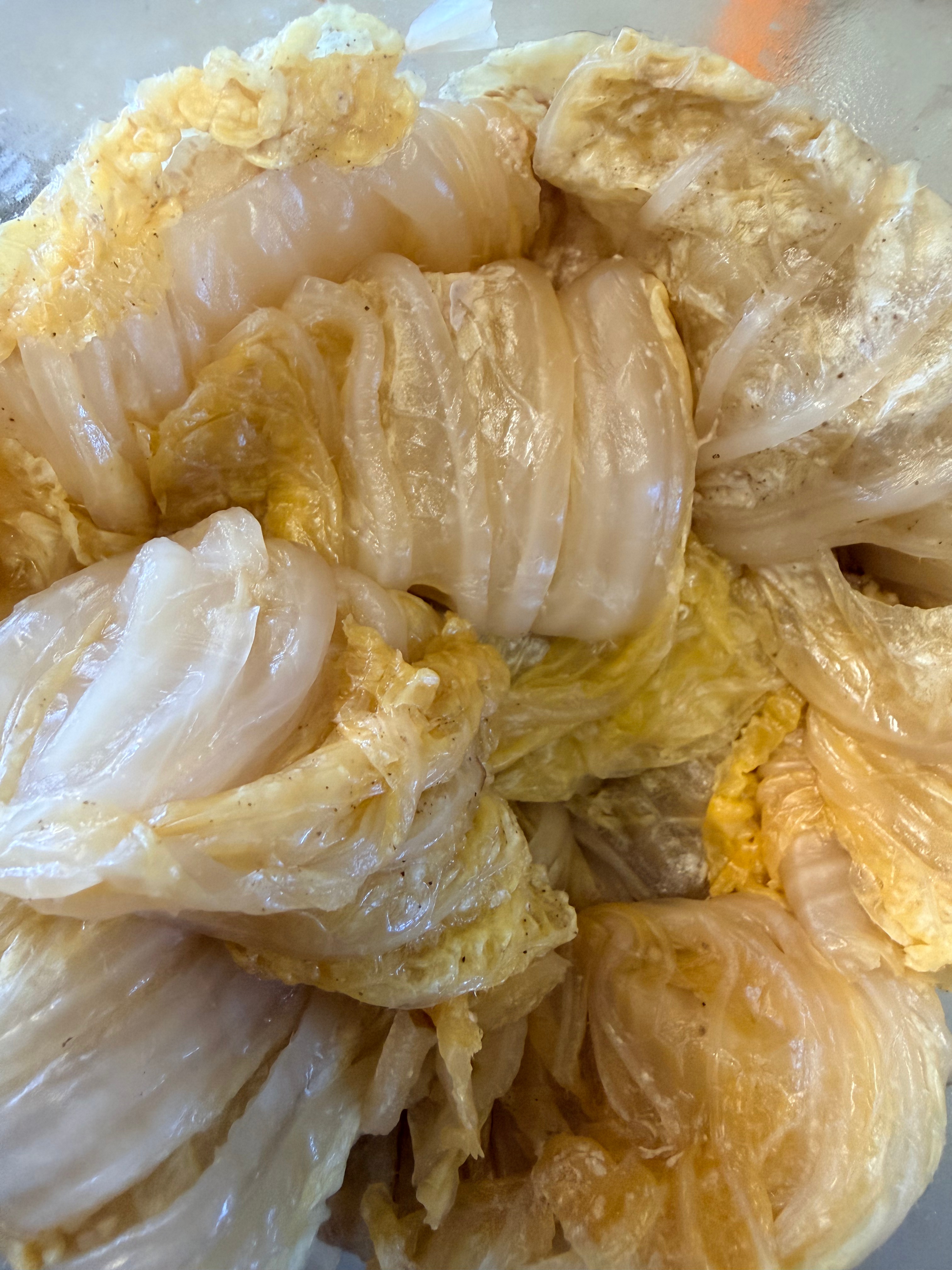 Chou lacto-fermenté