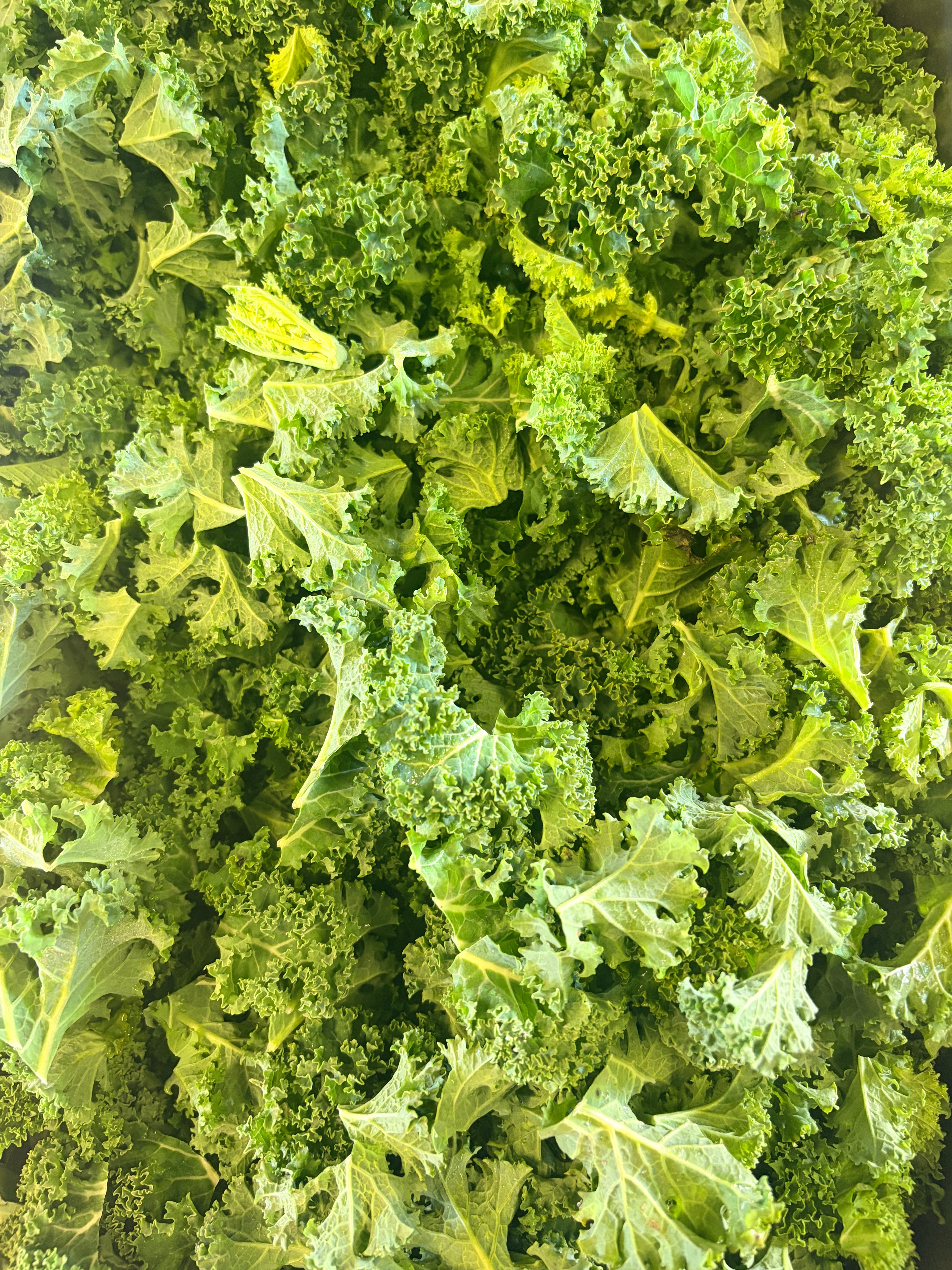 Kale frais